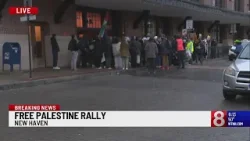 100 people participate in 'Free Palestine' rally in New Haven