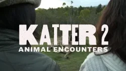 Animal Encounters - Katter II