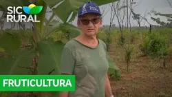 A história de Dona Onça, produtora rural que cultiva diversas plantas e frutas A história de Dona Onça, produtora rural que cultiva diversas plantas e frutas