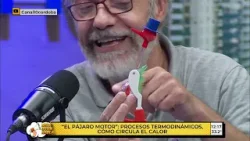 Hoy el profe Guille Goldes habla de TERMODINÁMICA junto al pajarito bebedor | MIRA QUIEN HABLA Hoy el profe Guille Goldes habla de TERMODINÁMICA junto al pajarito bebedor | MIRA QUIEN HABLA