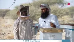 ماذا سيحدث لو فقدت خلية النحل ملكتها؟ تأمل قدرة الله في أن لكل خلية ملكة واحدة فقط تحفظ نظامها. ماذا سيحدث لو فقدت خلية النحل ملكتها؟ تأمل قدرة الله في أن لكل خلية ملكة واحدة فقط تحفظ نظامها.