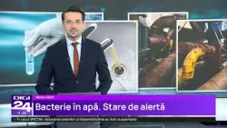 „Umilință maximă și pericol pentru sănătate”. Zeci de mii de oameni, fără apă potabilă de patru luni „Umilință maximă și pericol pentru sănătate”. Zeci de mii de oameni, fără apă potabilă de patru luni