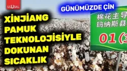 Xinjiang Pamuk Teknolojisiyle Dokunan Sıcaklık - Günümüzde Çin belgeseli Xinjiang Pamuk Teknolojisiyle Dokunan Sıcaklık - Günümüzde Çin belgeseli