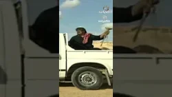 صار صديقهم عشان ضب ? صار صديقهم عشان ضب ?