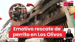 Bombero rescata a perrito Zeus atrapado en el último piso de edificio incendiado en Los Olivos Bombero rescata a perrito Zeus atrapado en el último piso de edificio incendiado en Los Olivos