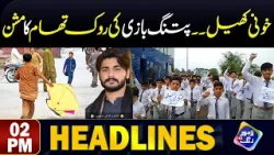 Mission to prevent kite flying | Headlines 02 PM | 28 March 2024 | Lahore Rang
