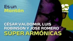 Súper Armónicas en el Museo de La Mona | ES UN MONTÓN! Súper Armónicas en el Museo de La Mona | ES UN MONTÓN!