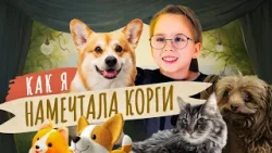 Мой питомец. У меня дома живёт две собаки и кот. Мой питомец. У меня дома живёт две собаки и кот.