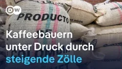Kolumbiens Agrarwirtschaft zwischen Zöllen und neuen Märkten Kolumbiens Agrarwirtschaft zwischen Zöllen und neuen Märkten