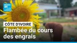 Comment la guerre au Moyen-Orient affecte directement les agriculteurs de Côte d'Ivoire Comment la guerre au Moyen-Orient affecte directement les agriculteurs de Côte d'Ivoire