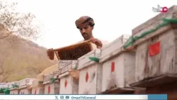 عسل محافظة ظفار يتميز بنكهته الفريدة وجودته العالية بفضل تنوع النباتات والأجواء المعتدلة في المنطقة عسل محافظة ظفار يتميز بنكهته الفريدة وجودته العالية بفضل تنوع النباتات والأجواء المعتدلة في المنطقة