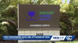 9-year-old girl recovering after dog attack at Suncoast Humane Society, dog may be euthanized 9-year-old girl recovering after dog attack at Suncoast Humane Society, dog may be euthanized