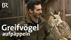 Leidenschaft Uhu: Die Greifvogelstation in Krautostheim | Wir in Bayern | BR