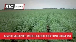 Agro garante resultado positivo para RO Agro garante resultado positivo para RO