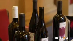 Città Italiana del Vino 2025: un anno di attività per i Castelli Romani Città Italiana del Vino 2025: un anno di attività per i Castelli Romani