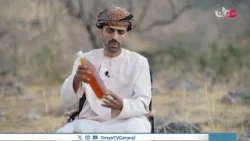 عسل اللبان في محافظة ظفار يشهد طلبًا عالميًا، ووصل إلى إيطاليا بفضل جودته وفوائده الصحية عسل اللبان في محافظة ظفار يشهد طلبًا عالميًا، ووصل إلى إيطاليا بفضل جودته وفوائده الصحية